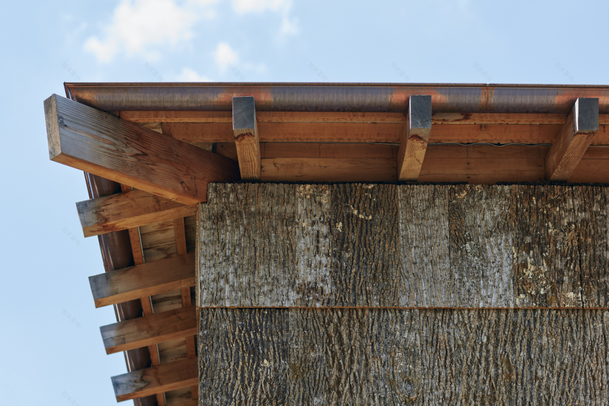 杨树丛丨美国华盛顿丨BLDUS-43