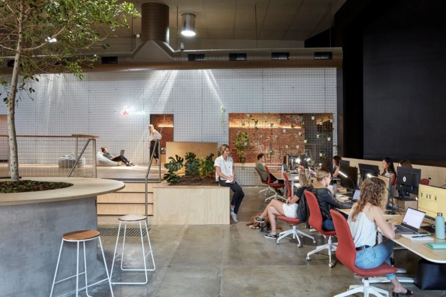 Scrunch 科技公司“丛林”工作场所,历史与自然的完美融合-1