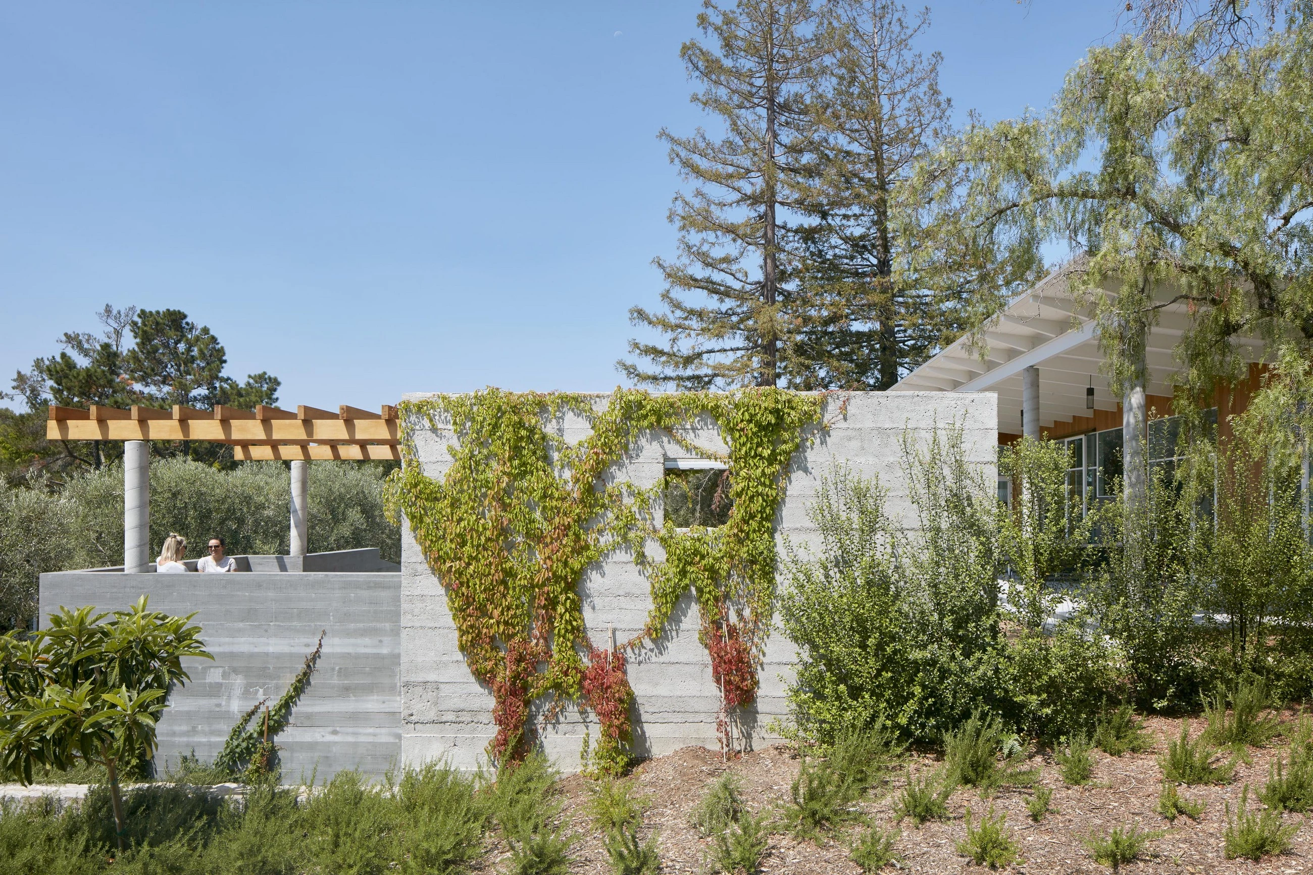 硅谷百年橡树林住宅-13