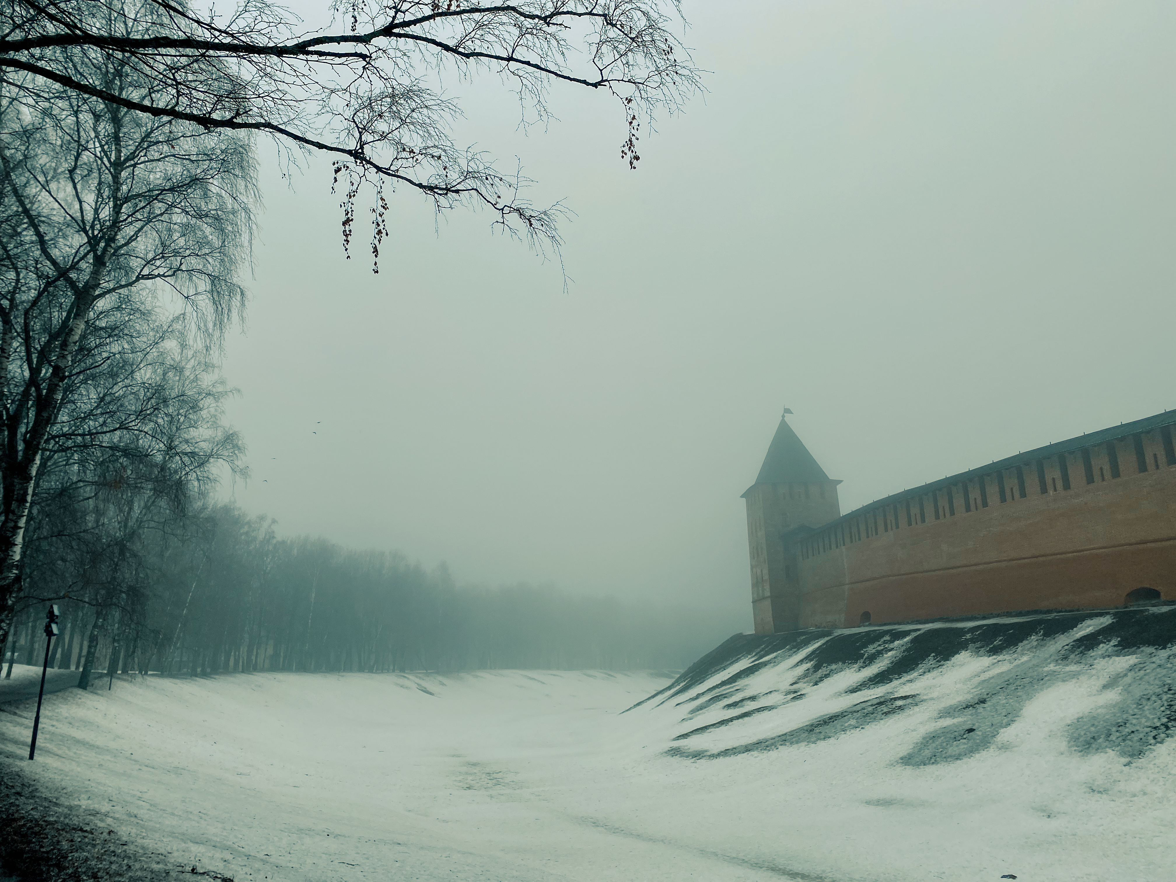 iPhone 11 拍摄的雾景-4