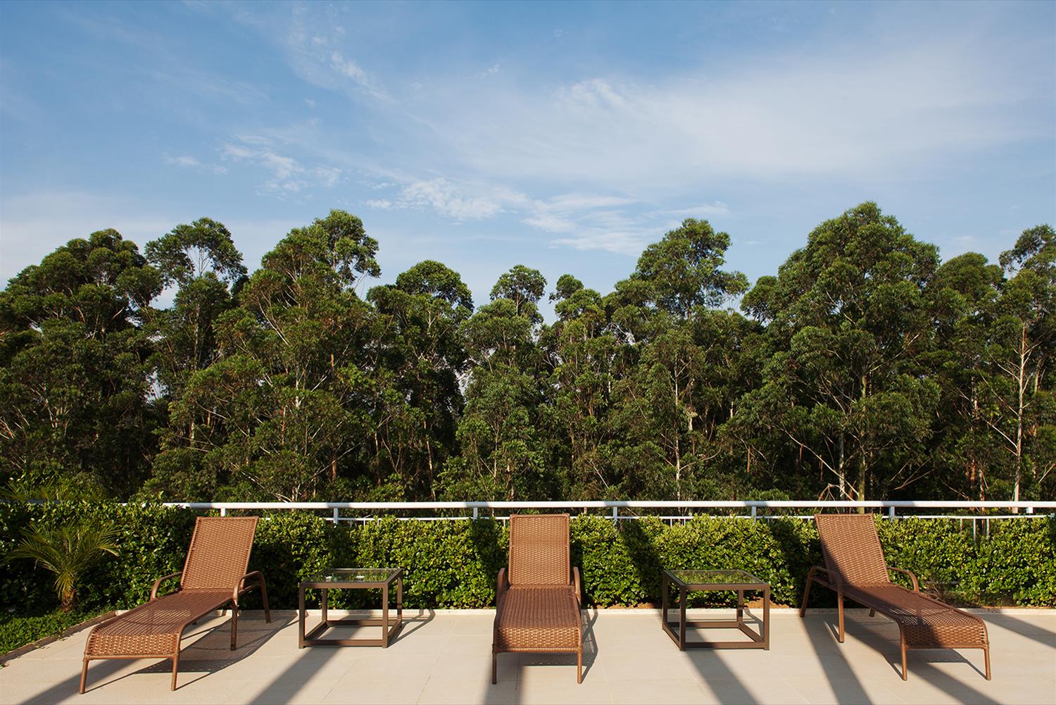 特里·坦博雷-16