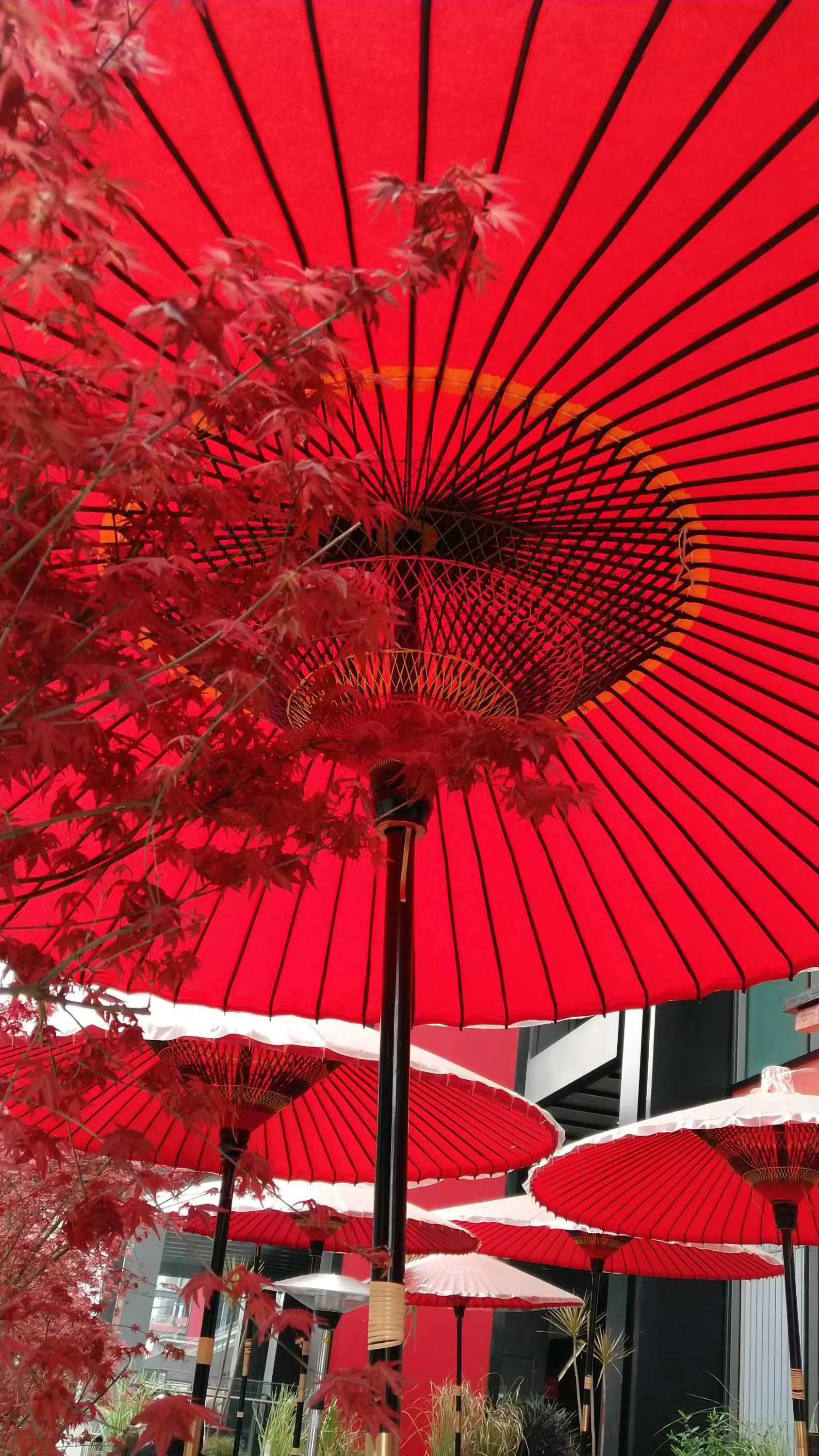 元禾中林设计-小小日料-鳗旨王将-21