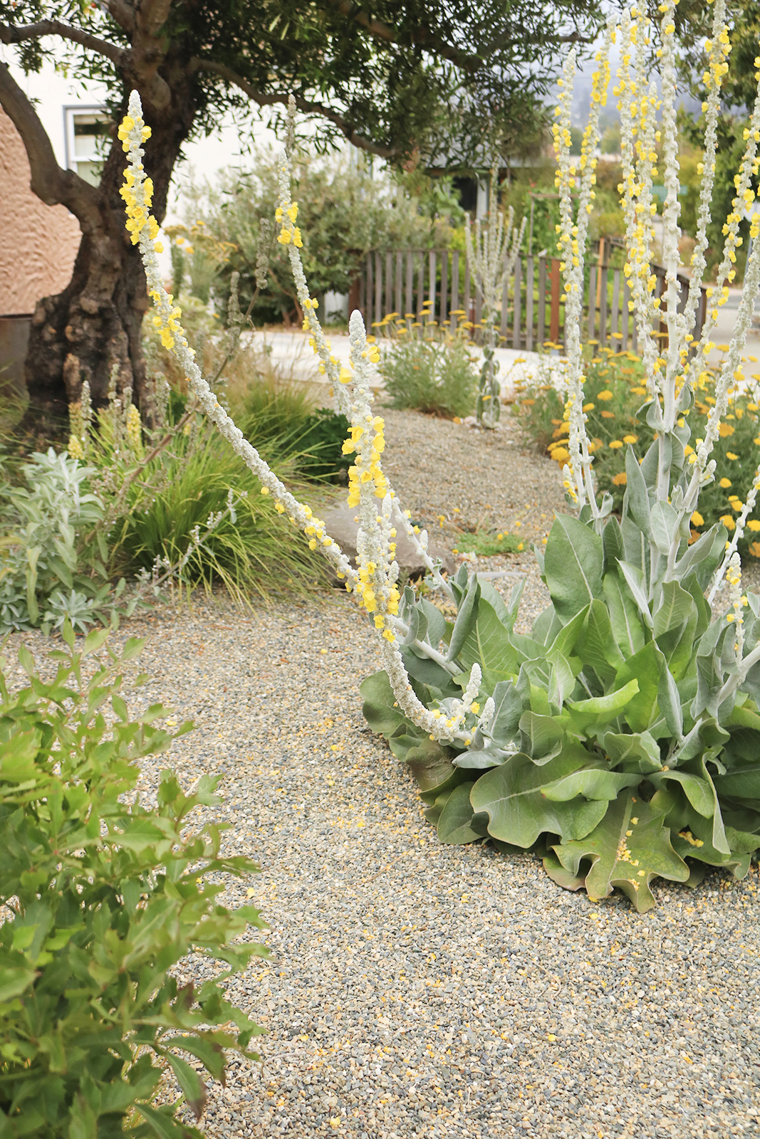 身边风景 | Soft Studio-94