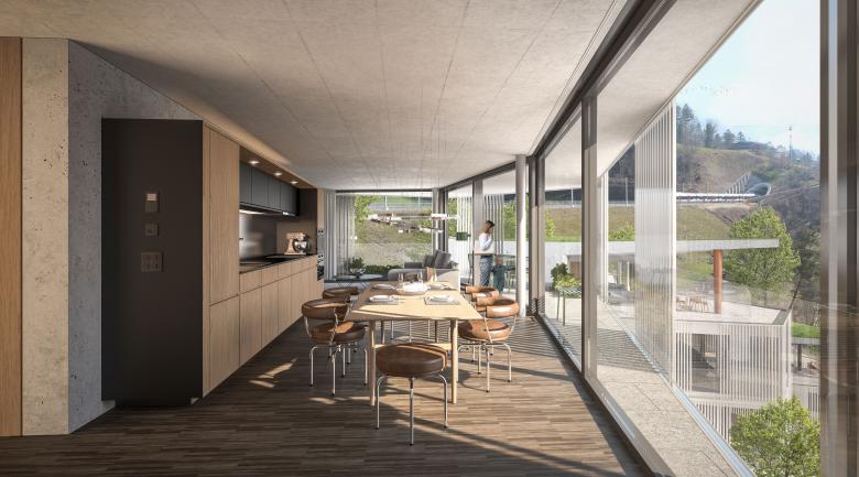 MFH 里吉布利克住宅丨瑞士丨OVA Studio GmbH-12