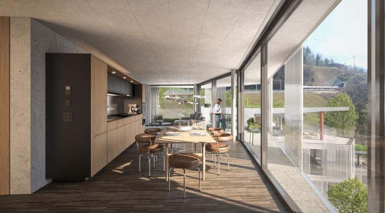 MFH 里吉布利克住宅丨瑞士丨OVA Studio GmbH-12