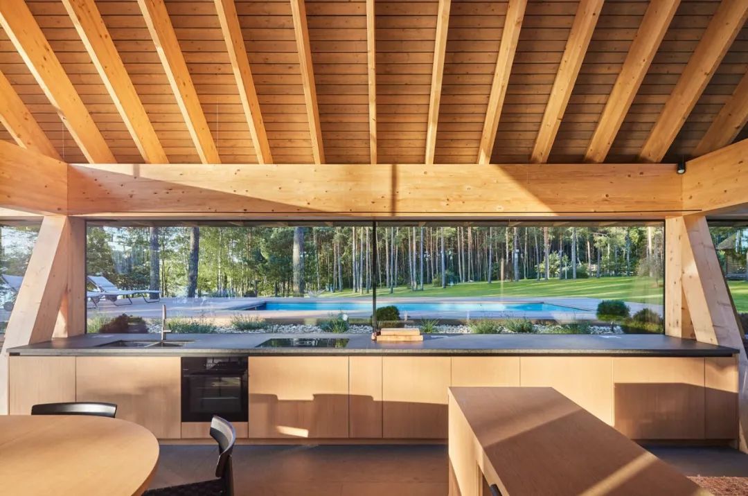 湖边森林中的钢构游泳池房丨立陶宛-32