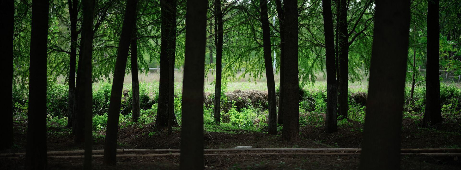 崇明松慢民宿丨中国上海丨RooMoo 如莫空间-28