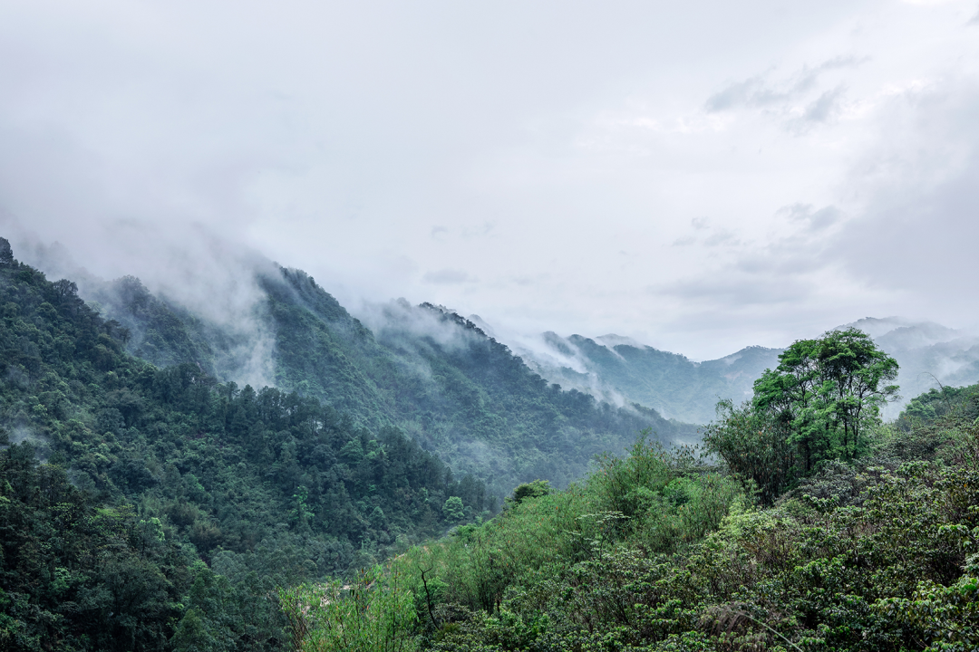 融创·由心谷生活馆丨中国清远丨春山秋水设计-9