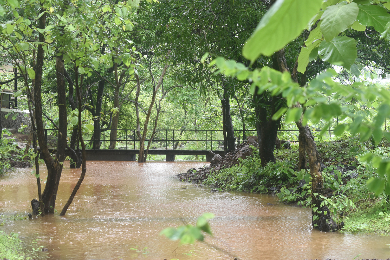 印度 Karjat 市 The Bridge Dam丨architecture INNATE-12