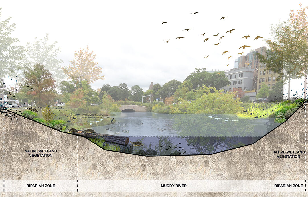 多个LA项目(如学院广场学生聚会照明等)丨Terraink-7