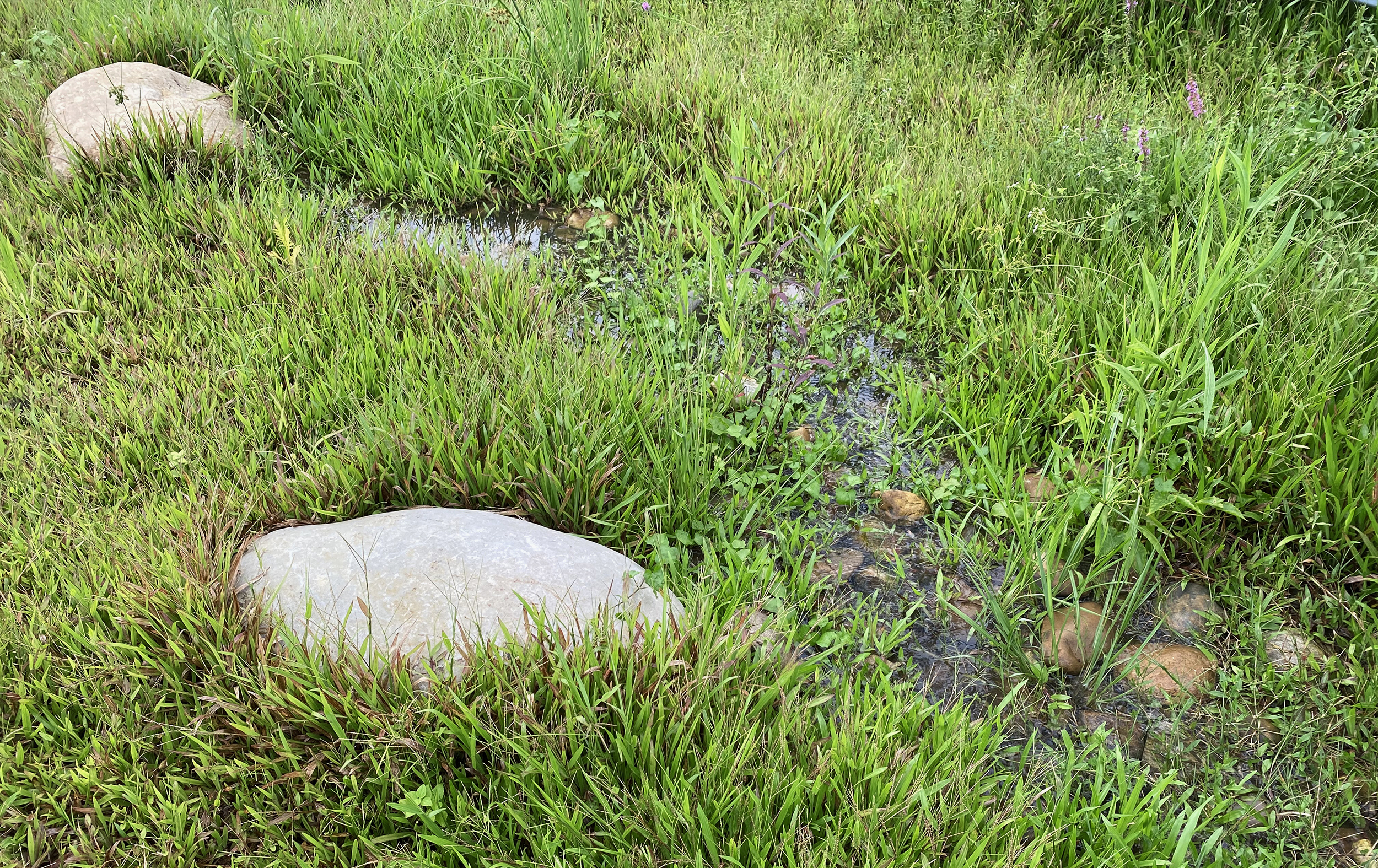 深圳光明虹桥1958生态公园丨中国深圳丨深圳自组空间,深圳市建筑科学研究院股份有限公司-64