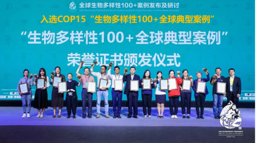 儿童友好空间优秀案例 | 休闲游憩类.04-48