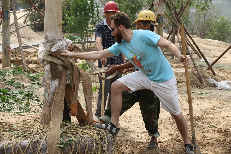 BAM 公司 | 景观设计的十年探索与展望-18