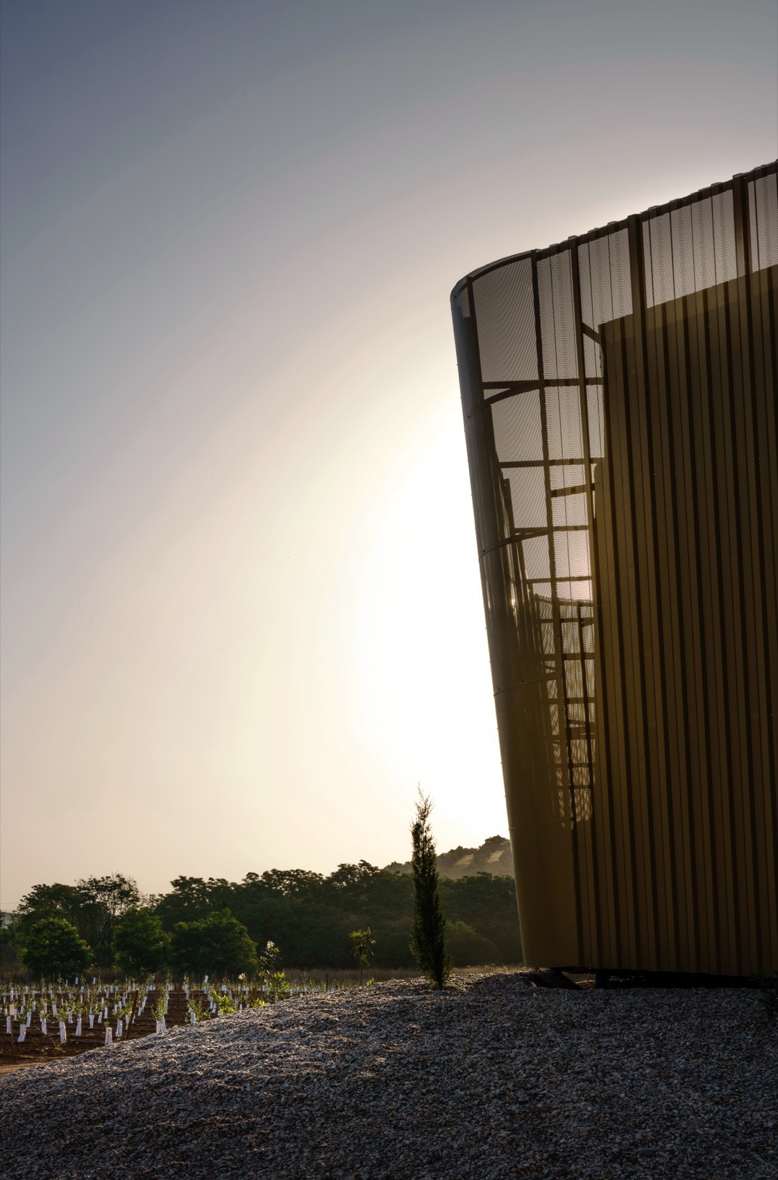 Acesur橄榄油榨油厂丨Mollinedo Arquitectura-67