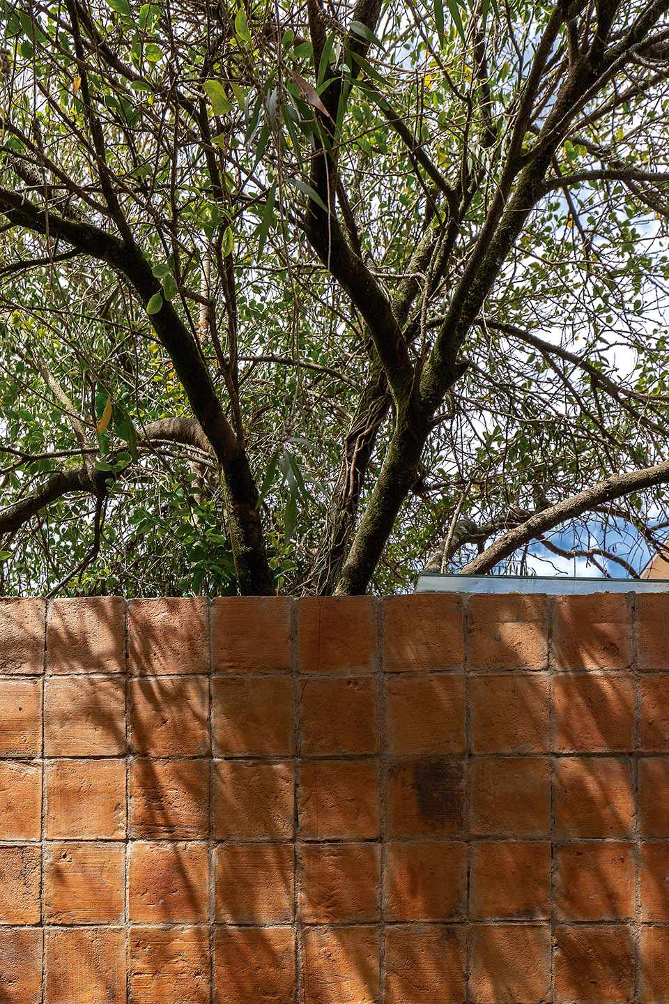 飞瓦住宅，厄瓜多尔 / Daniel Moreno Flores-97