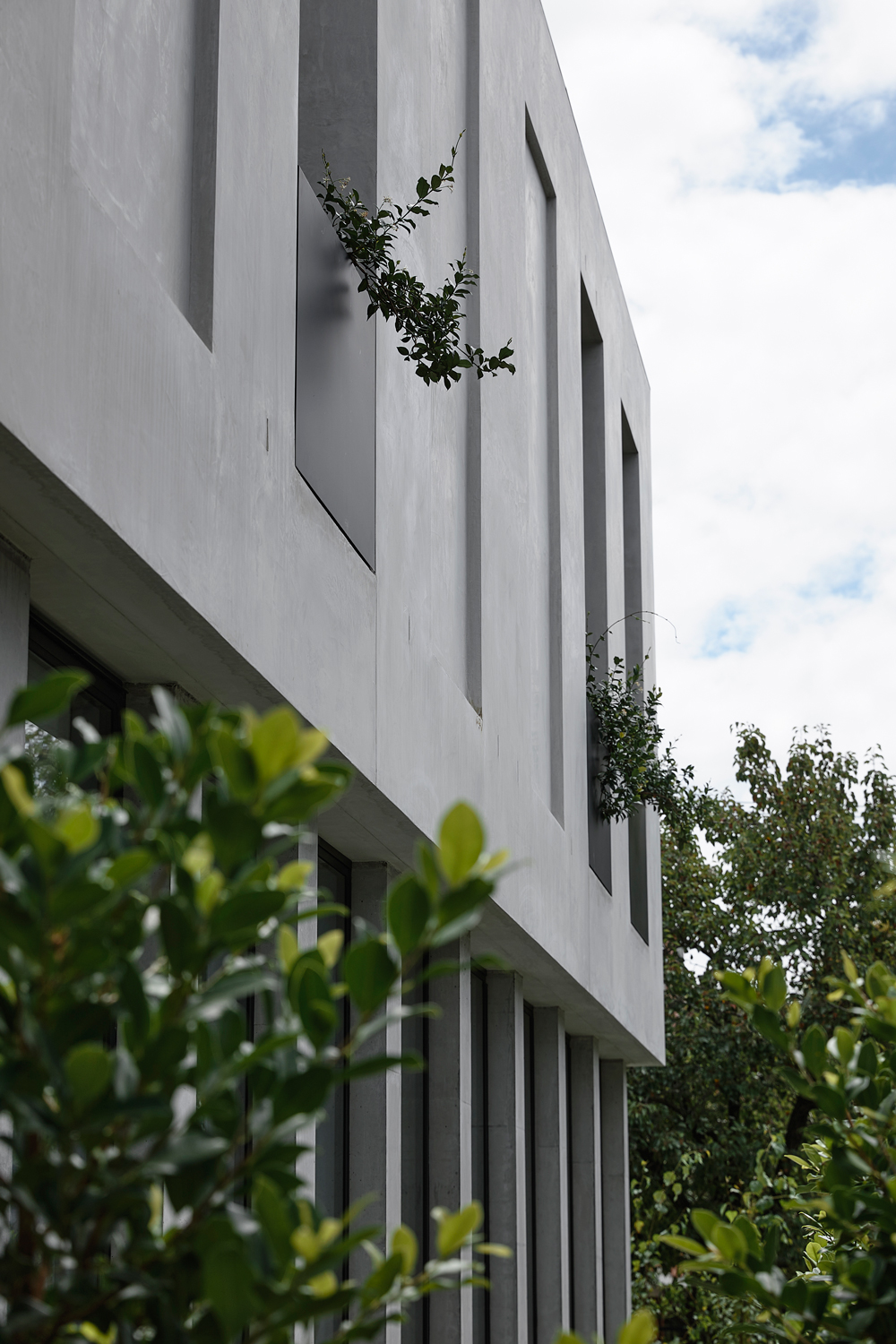 DS 住宅丨Inglis Architecture-14