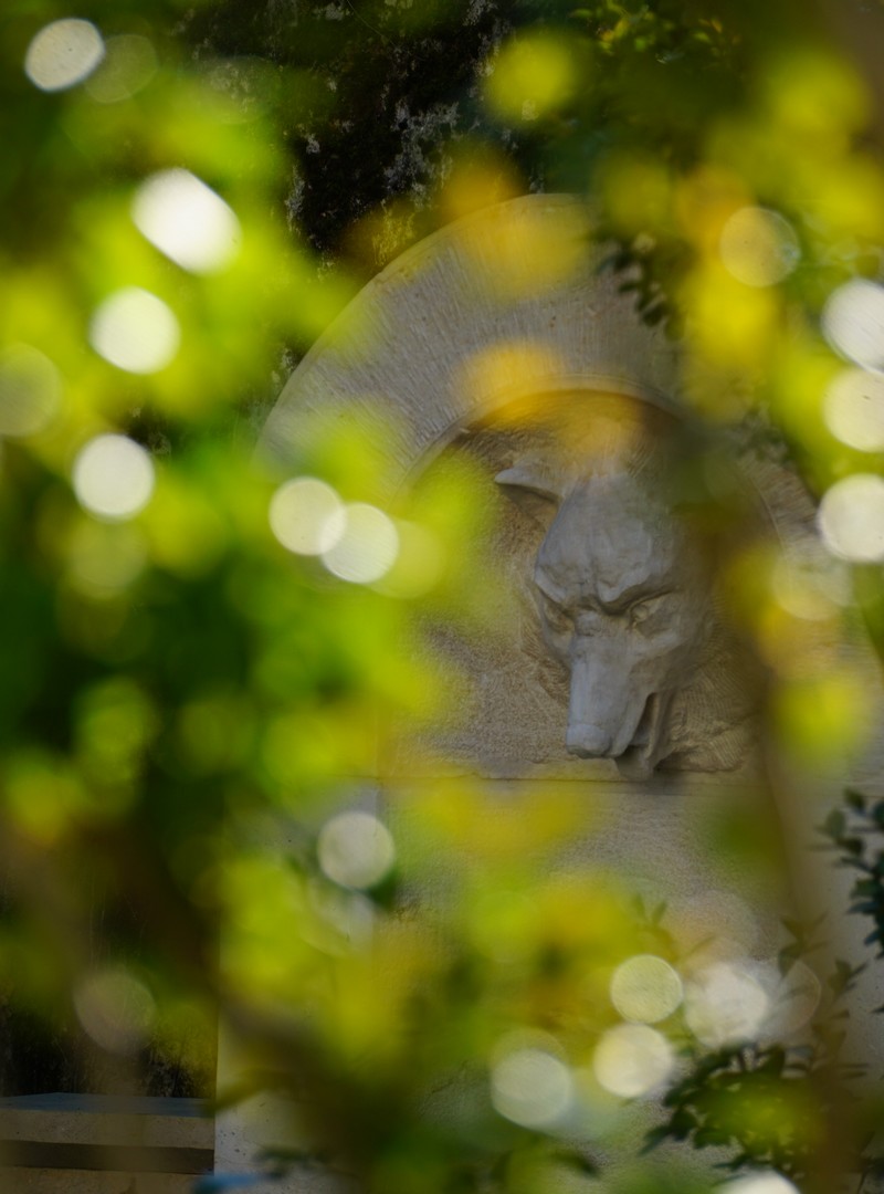 圣基兰城堡公园内400平方米英式田园风花园丨法国丨Opus Paysage  Alexandre Tonnerre-37