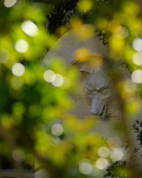 圣基兰城堡公园内400平方米英式田园风花园丨法国丨Opus Paysage Alexandre Tonnerre