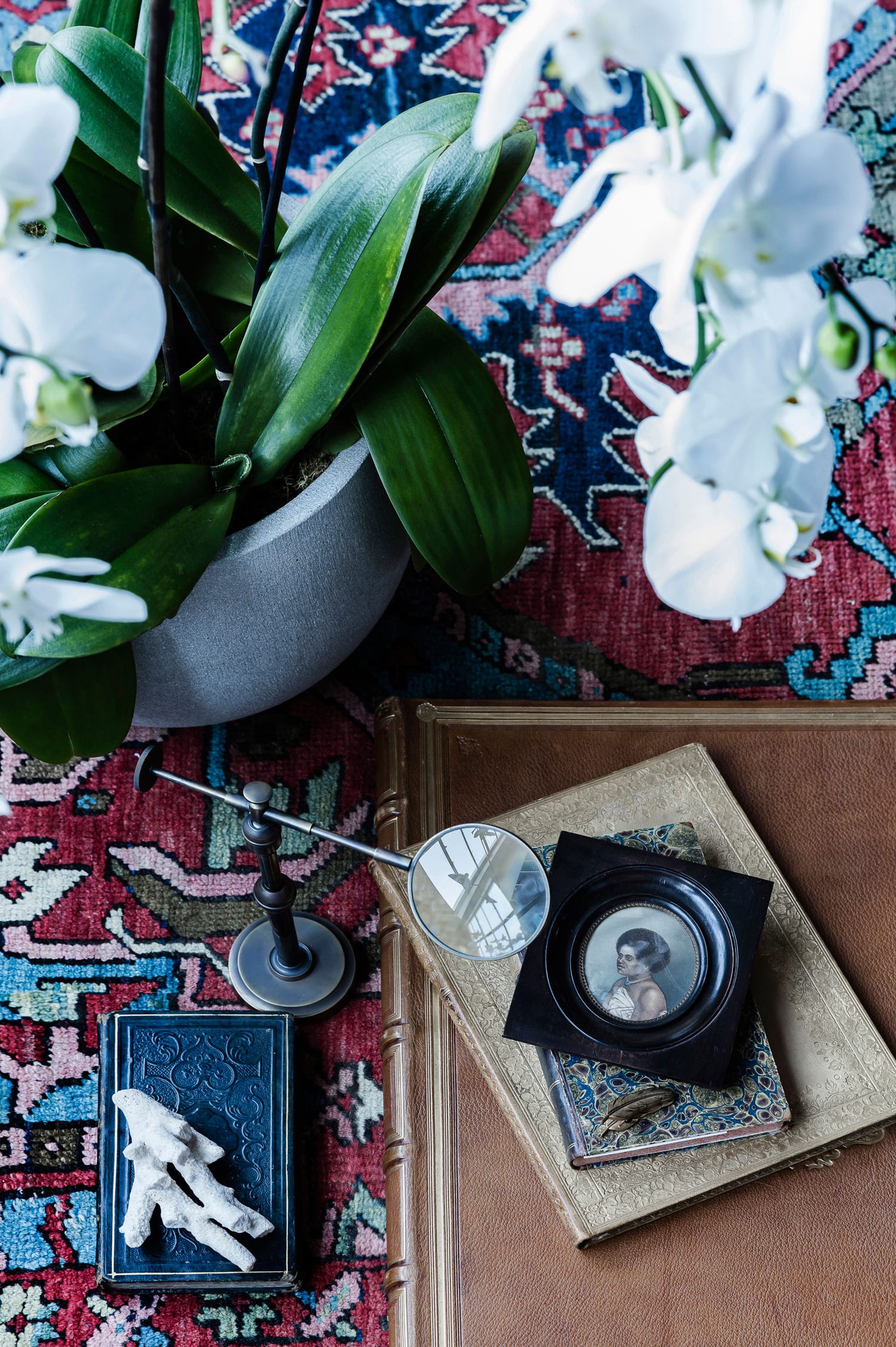 悉尼工业风珍本书店办公室设计-19