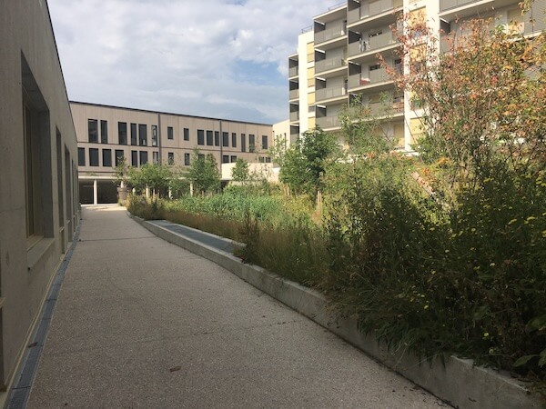 Jardin cœur d'îlot - Brétigny-sur-Orge - Horizons Paysages-25