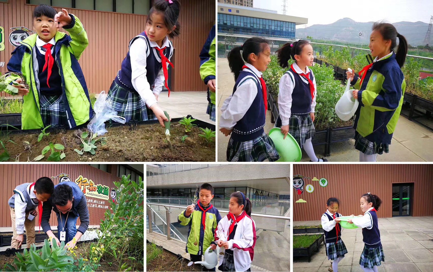 苏州科技城实验小学 / 致正建筑工作室 + 大正建筑事务所-140