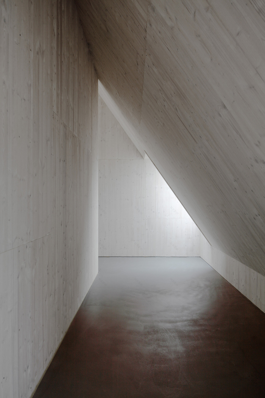 房子 SF 或 众议院 SF (具体需根据上下文确定)丨奥地利丨Moser und Hager Architekten-20