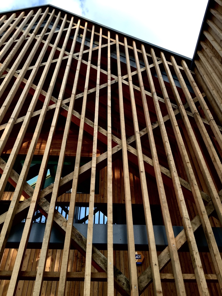 Bedales School 艺术设计教学楼-42