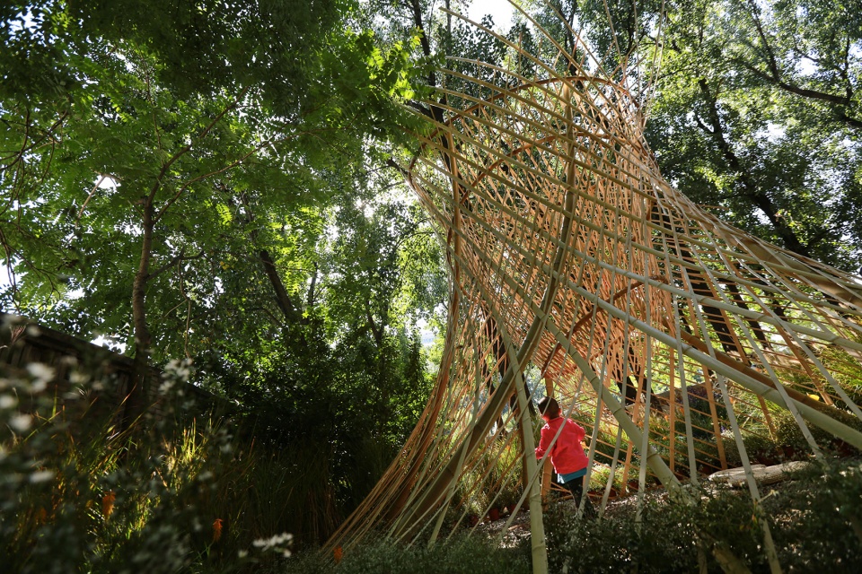 北林国际花园建造节获奖作品 | “黑洞”与“樊笼”-14