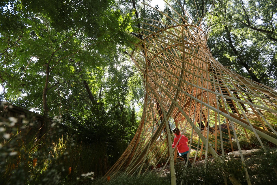 北林国际花园建造节获奖作品 | “黑洞”与“樊笼”-14