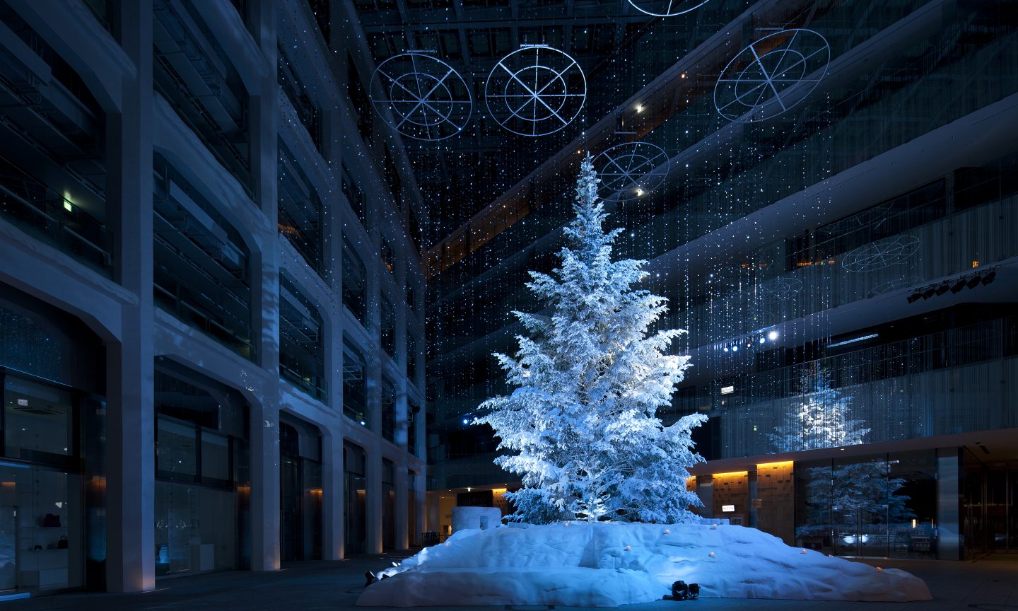 WHITE KITTE  Suppose Design-8