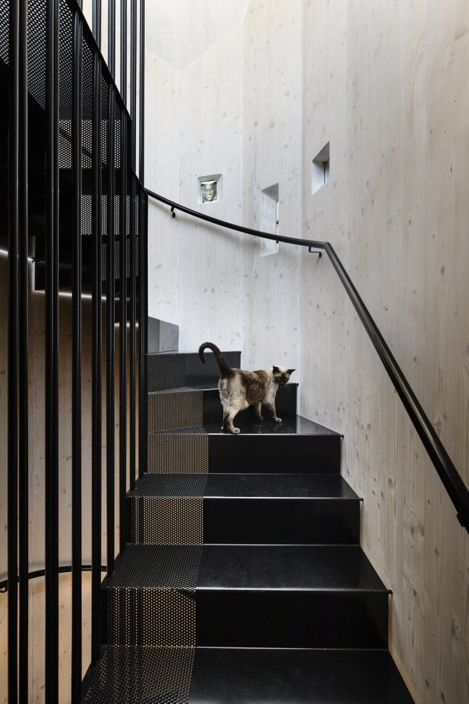 Union House多层家庭住宅丨澳大利亚墨尔本丨Austin Maynard Architects-22