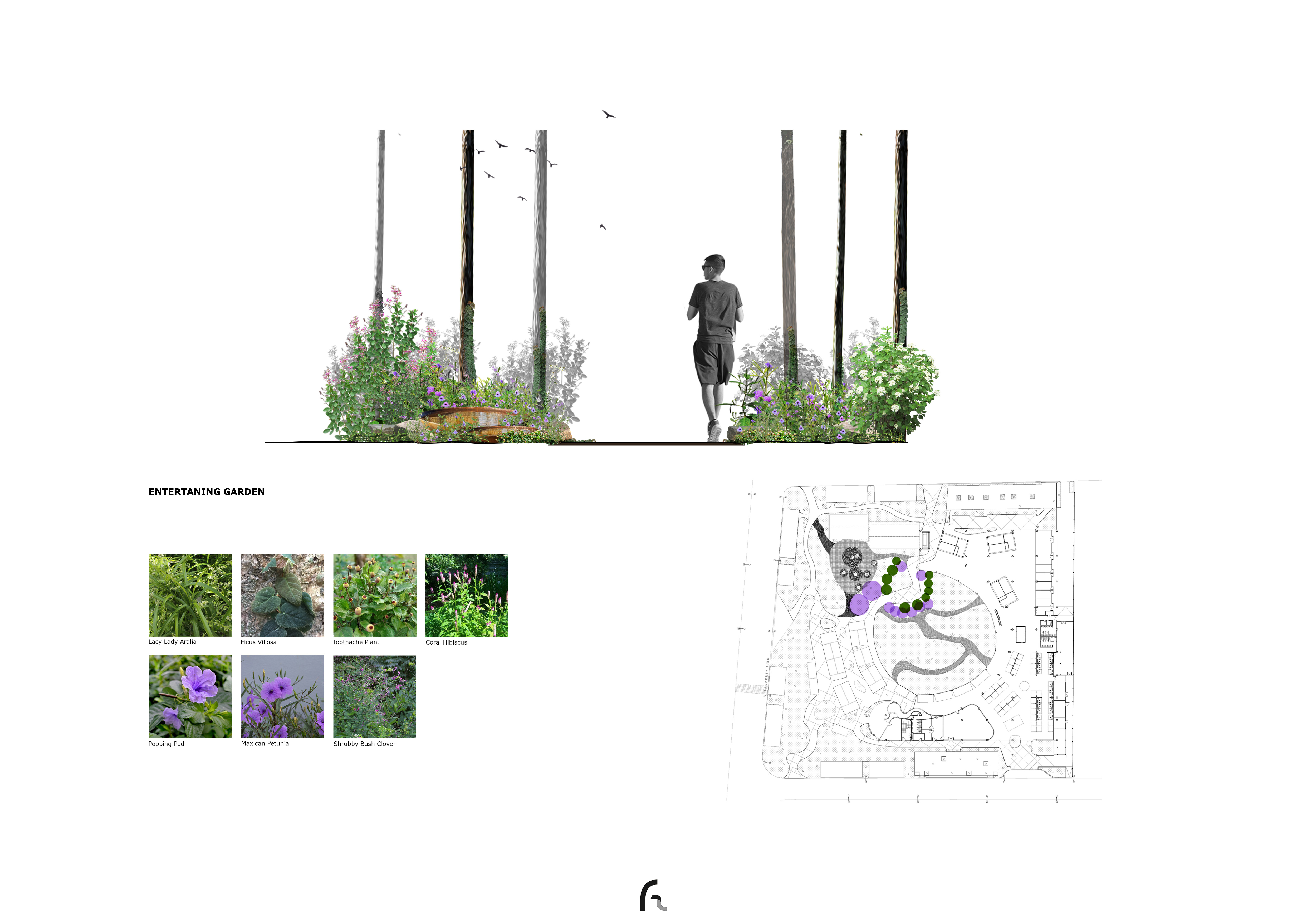 概念花园设计丨FAA +D-12