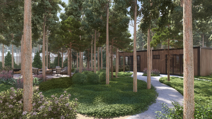 PRIVATE SITE LANDSCAPE | Pine Forest-10
