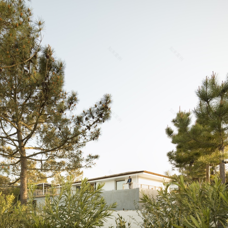 葡萄牙 Comporta 地区 L10 别墅 | 自然与建筑的和谐共生-10