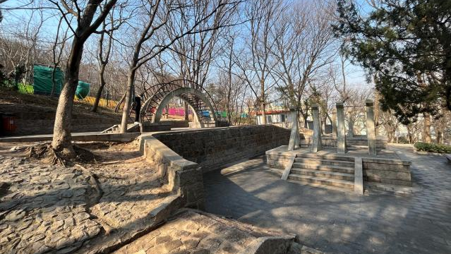 百姓乐园:榉林山焕新归来,悦享自然人文之美-7