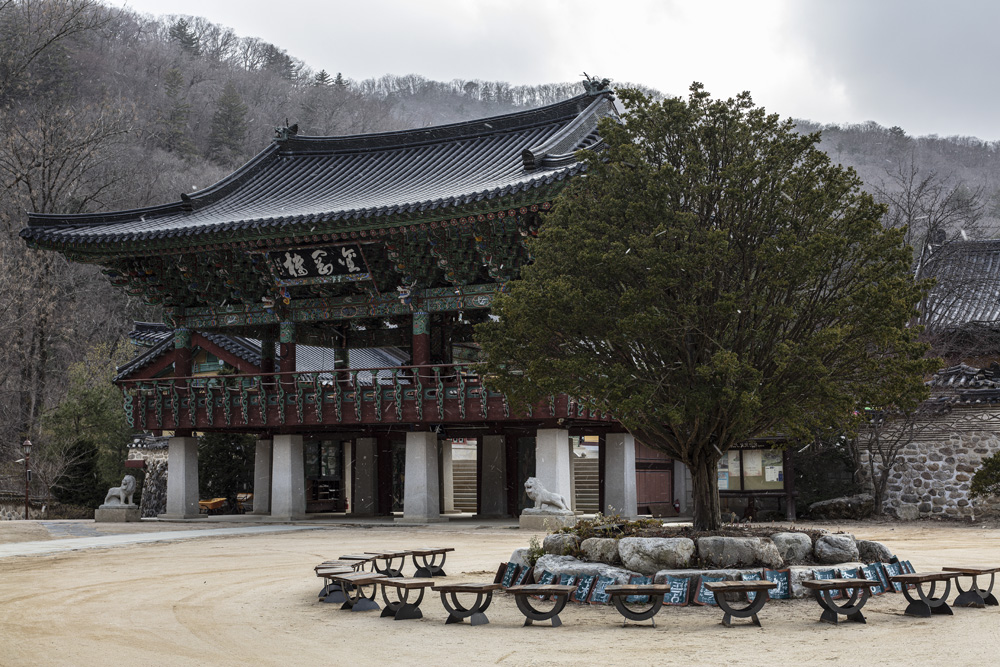 首尔月정사咖啡厅 | 精致氛围的室内设计-19