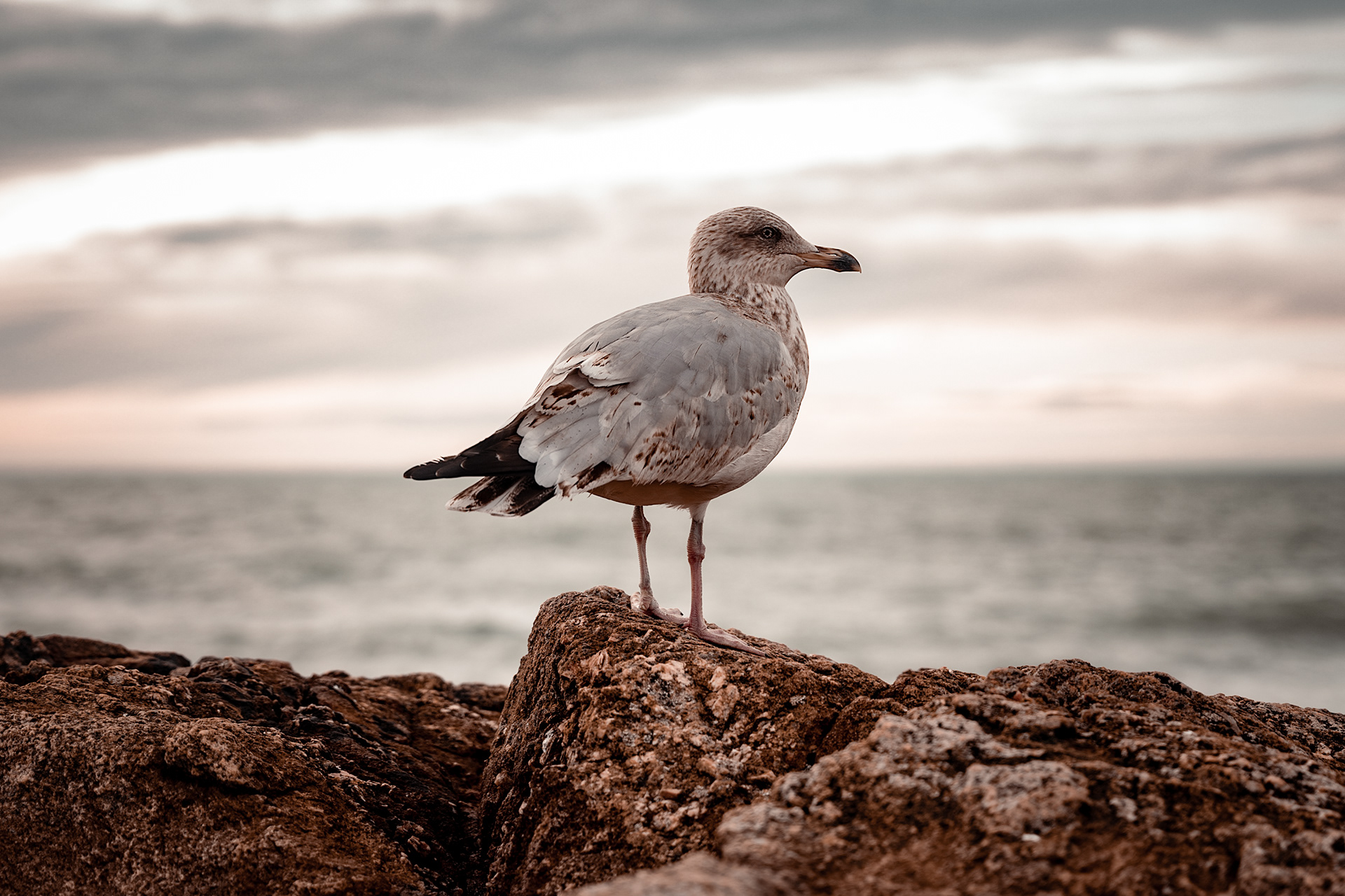 海洋与沙滩摄影作品丨rach_vdb 和 hash_yan-15