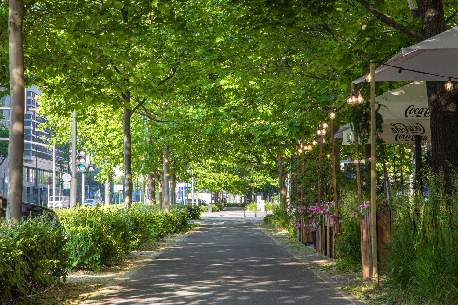 Zielona Świętokrzyska（绿圣十字街项目）丨波兰华沙-13