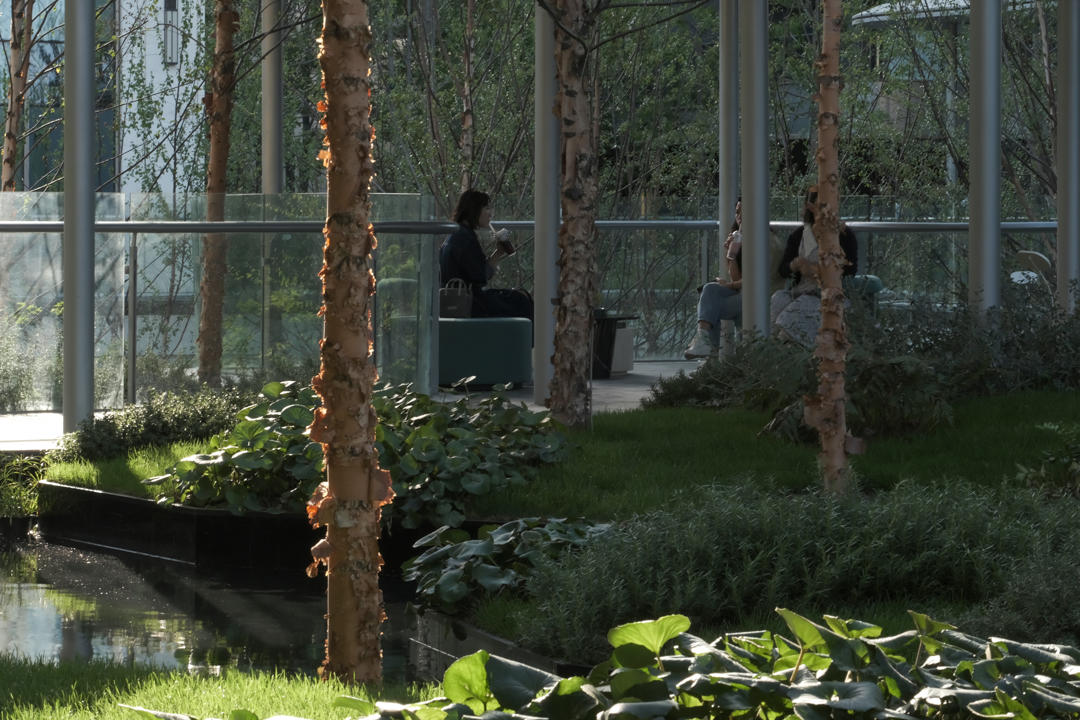 苏州蠡棠森屿-在苏州城市注脚下，种上一片森林丨中国苏州丨MIND  迈德景观-4