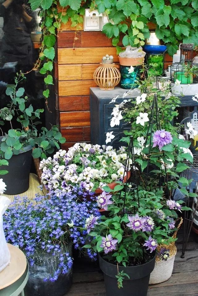 她在楼顶悄悄建了一座梦想花园，美翻了！这才是把日子过成诗的样子-44