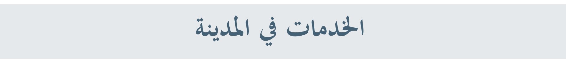 开罗市战略规划及现状研究项目丨埃及开罗丨亚历山大大学美术学院建筑系-35