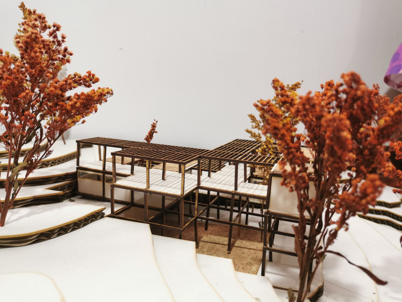 项目地点丨哥伦比亚丨CF_Proyecto_Lugar_Entre_Tejidos-11