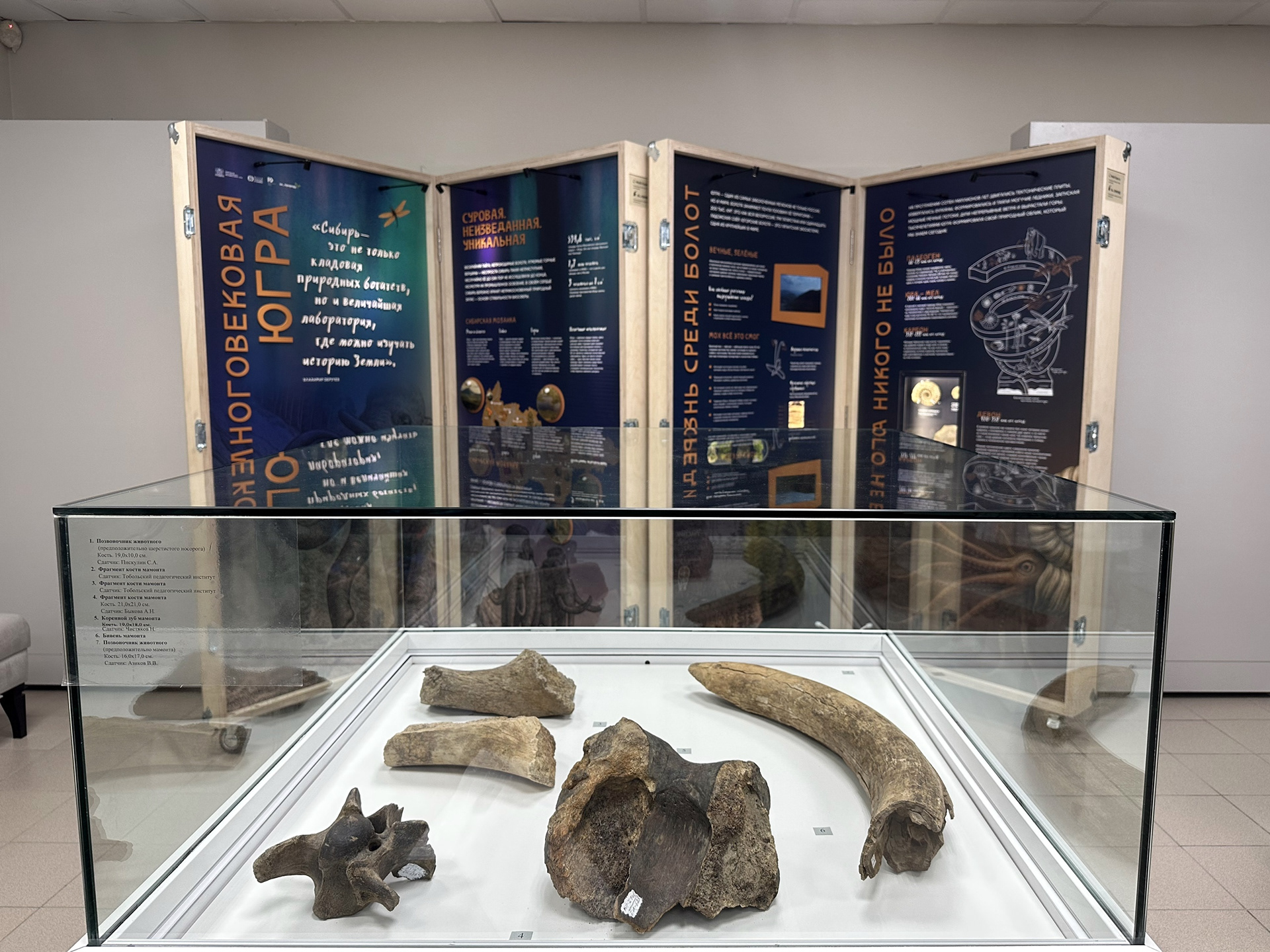 Мобильная экспозиция «Многовековая Югра. Начало»-5