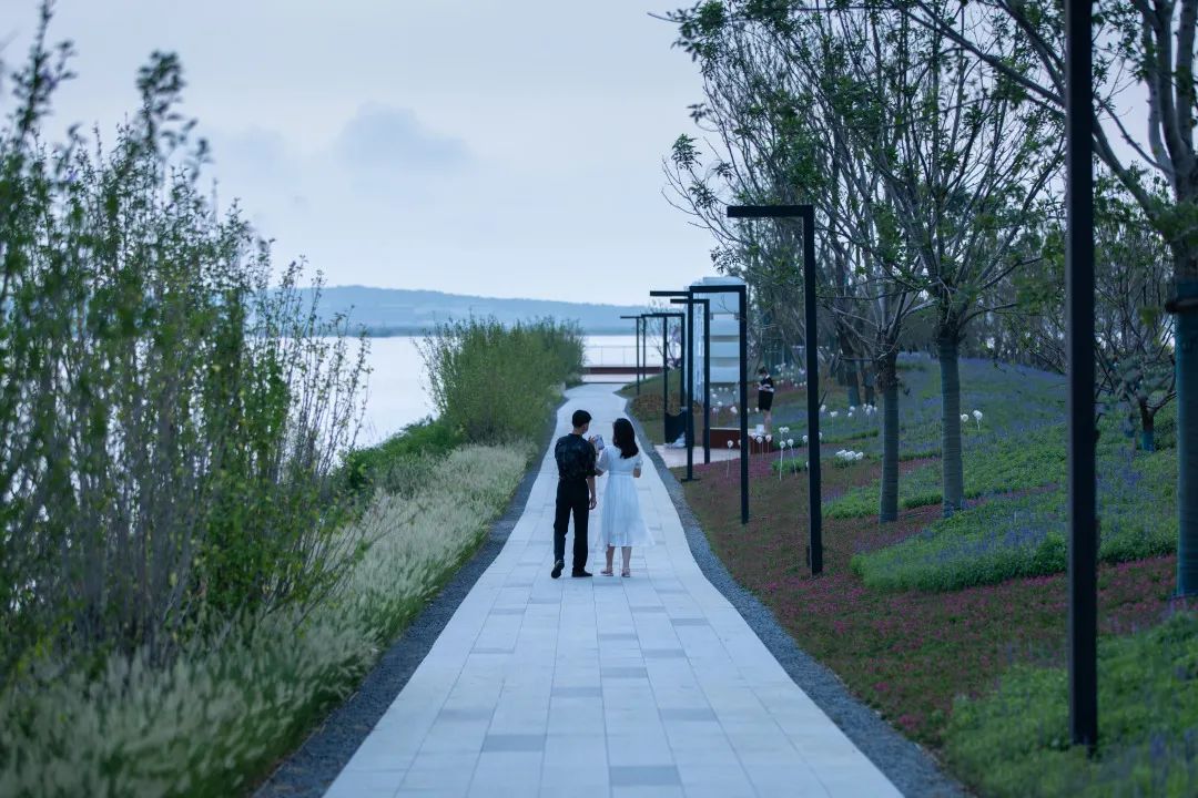 烟台龙湖滟澜海岸(C 岛)丨中国烟台-37