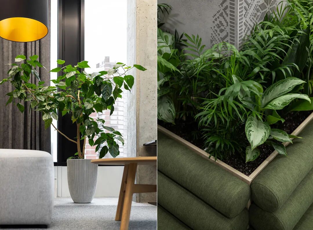 BASF基辅办公室丨乌克兰基辅丨MEYT-44