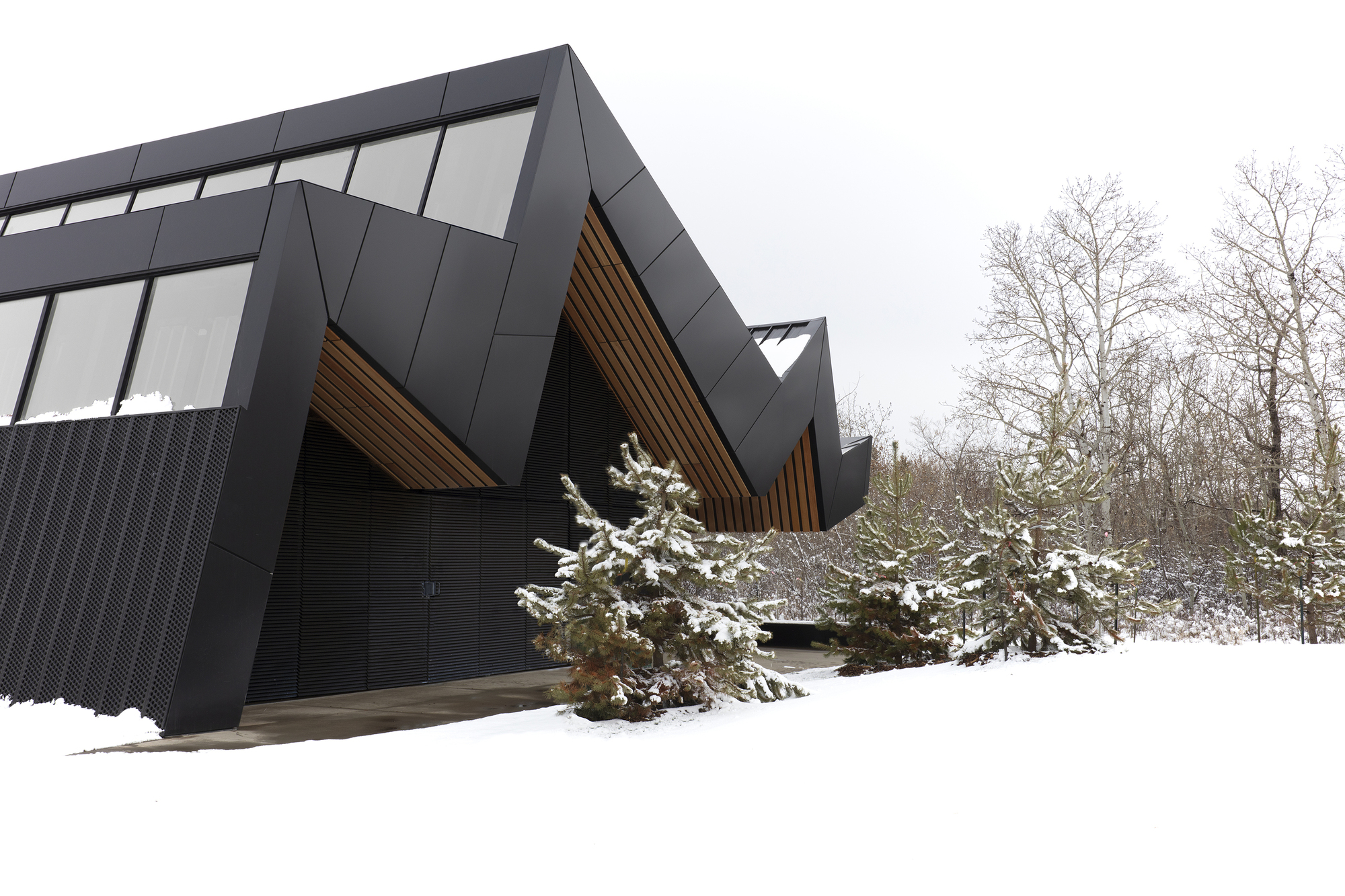 卡皮拉诺图书馆丨加拿大丨Patkau Architects + Group2-37