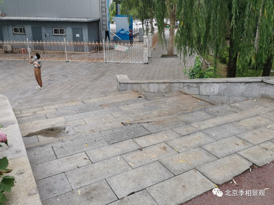 房山府前广场“拆栏透绿”改造丨中国北京丨房山区园林绿化局-46