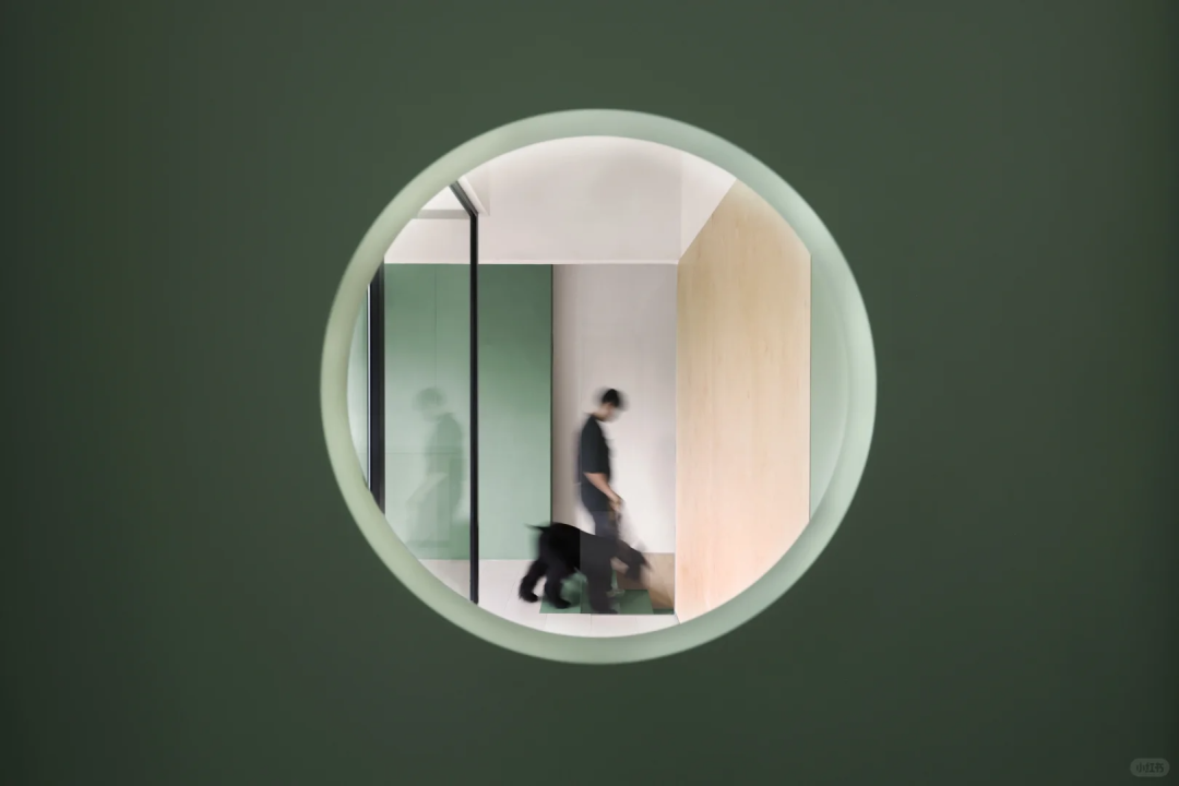 海南▶Momogogo人宠都市绿洲——毛孩子的友好综合空间-21