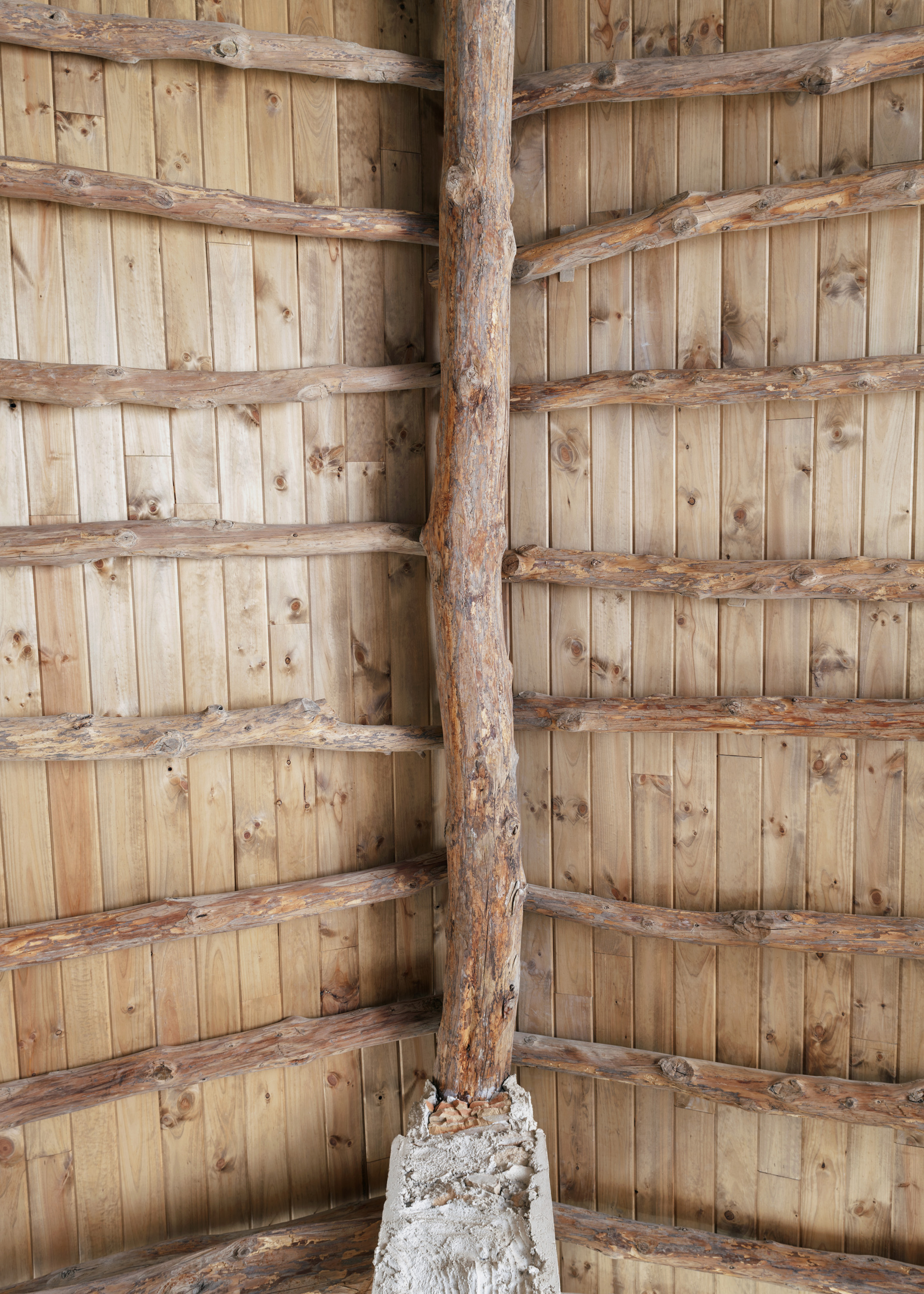 杜萨特·佩德隆酒庄的再生设计-17