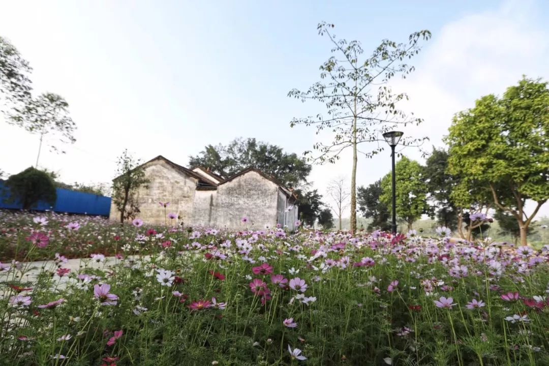 800年古村落美得不像话，他们都说想去度假-139